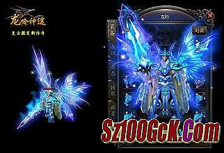 ��ְҵ����˽��������